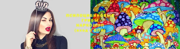 бутик Аркадак
