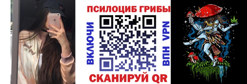 магазин  наркотиков  Ахтубинск  Псилоцибиновые грибы мицелий 